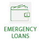 e-loans